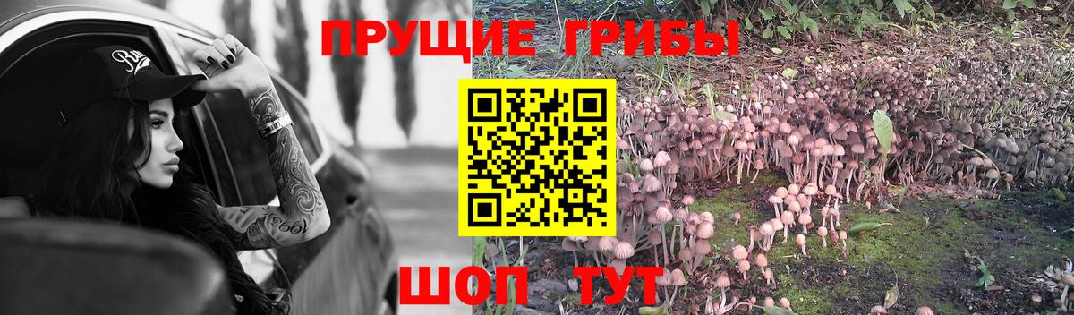 Крымск  Галлюциногенные грибы ЛСД  Вход с VPN 