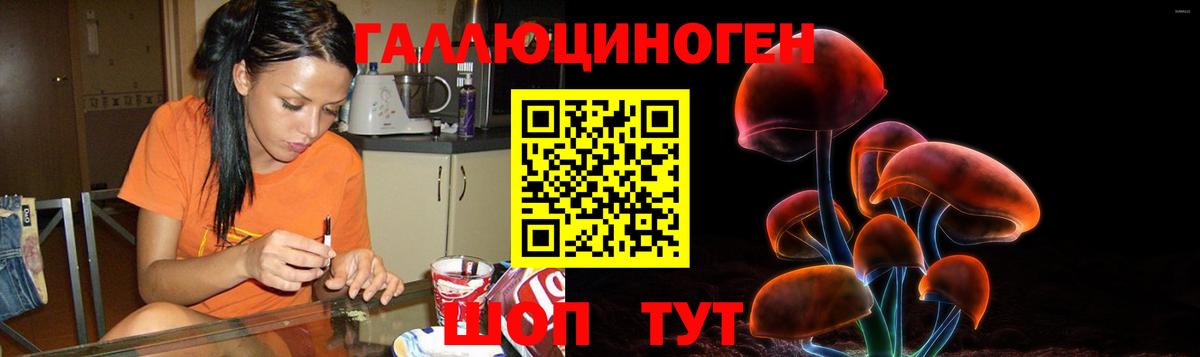 Псилоцибиновые грибы мицелий Крымск